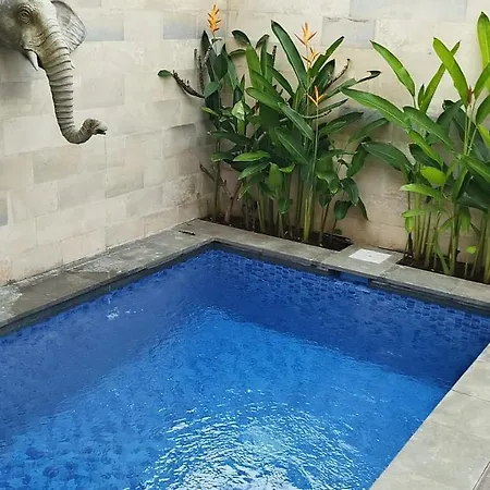 Bali Made Villa